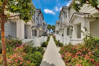 Photo #3: 250030102 Listing 