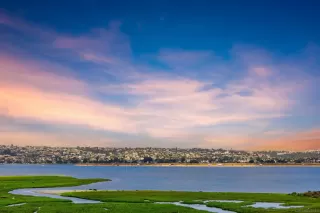 More Details about MLS # 250030389 : 3833 LAMONT ST UNIT 2F