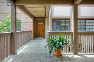 Photo #1: 250030404 Listing 