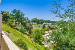 Photo #1: 250030432 Listing 