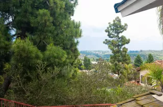 Photo #2: 250030504 Listing