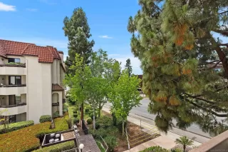 Photo #1: 250030616 Listing 