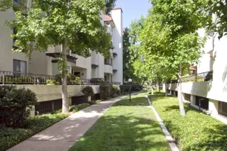 Photo #2: 250030616 Listing 