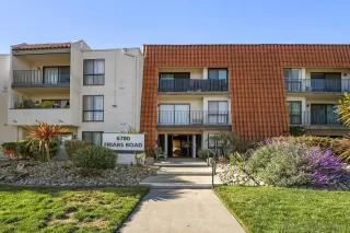 Photo #2: 250030730 Listing