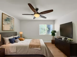 Photo #6: 250031019 Listing 