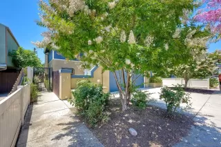 Photo #1: 250031087 Listing