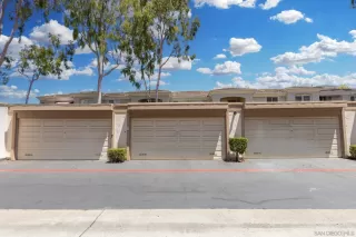 Photo #1: 250031156 Listing 