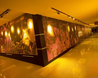 Photo #4: 250031239 Listing 