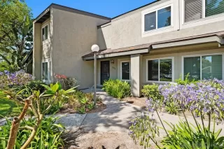 Photo #1: 250031293 Listing