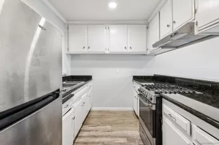 Photo #1: 250031297 Listing 