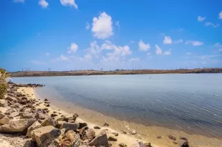 Photo #1: 250031307 Listing