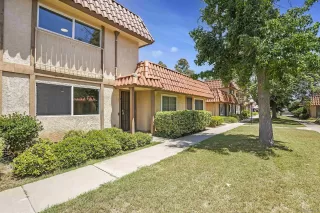 Photo #1: 250031325 Listing