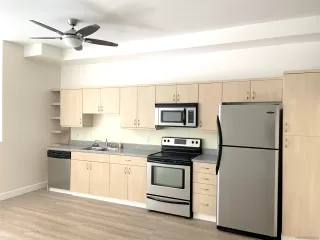 Photo #1: 250031346 Listing 