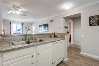 Photo #4: 250031631 Listing 