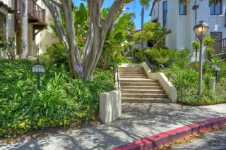 Photo #1: 250031635 Listing 