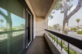 Photo #5: 250031792 Listing 