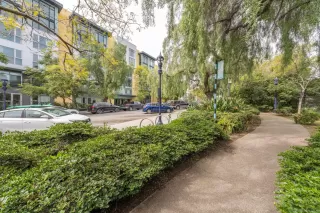 Photo #6: 250031979 Listing