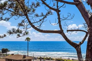 Photo #6: 250032225 Listing 