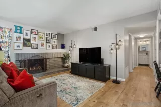 Photo #1: 250032298 Listing 