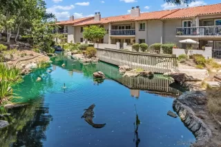 Photo #4: 250032298 Listing 