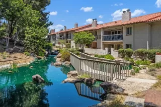 Photo #5: 250032298 Listing 