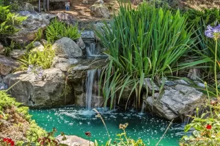 Photo #6: 250032298 Listing 