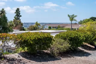 Photo #2: 250032592 Listing