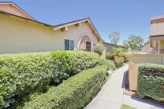 Photo #2: 250032603 Listing