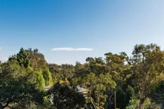 Photo #6: 250032616 Listing 