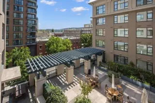 Photo #1: 250032636 Listing