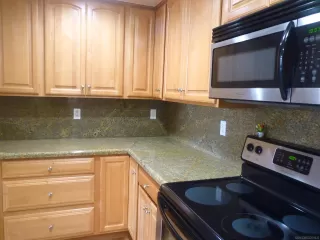 Photo #5: 250032643 Listing 