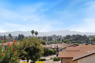 Photo #2: 250032675 Listing 