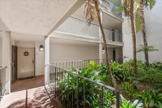 Photo #1: 250032957 Listing 