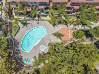 Photo #4: 250033014 Listing 
