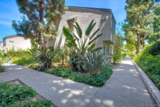 Photo #1: 250033063 Listing 