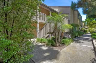 Photo #2: 250033063 Listing 