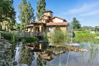 Photo #2: 250033194 Listing 