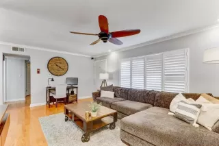 Photo #1: 250033217 Listing 