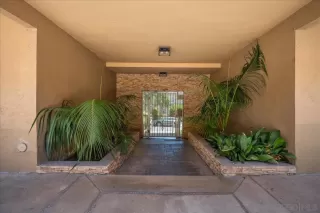 Photo #1: 250033233 Listing