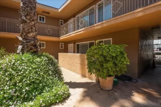 Photo #3: 250033233 Listing