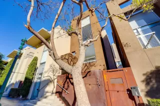 Photo #1: 250033295 Listing 