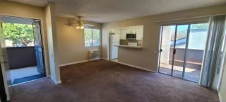 Primary Photo for MLS#: 250033367
