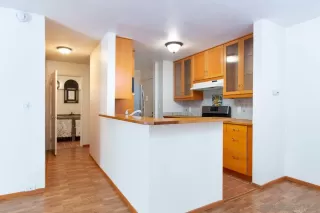 Photo #1: 250033573 Listing