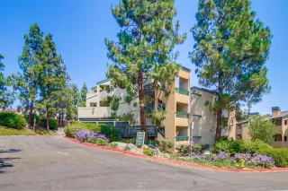 Photo #1: 250033576 Listing