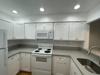 Photo #1: 250033659 Listing