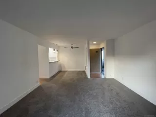 Photo #6: 250033659 Listing