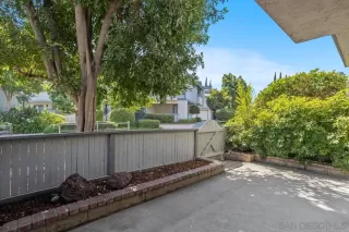 Photo #1: 250033851 Listing