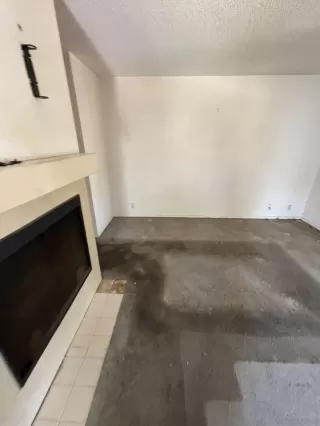 Photo #2: 250033919 Listing