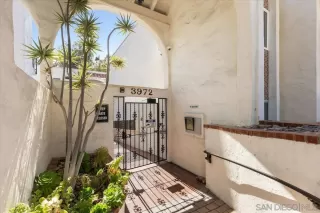 Photo #2: 250033953 Listing 