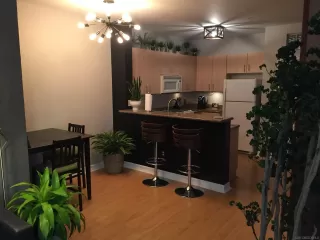 Photo #1: 250034092 Listing